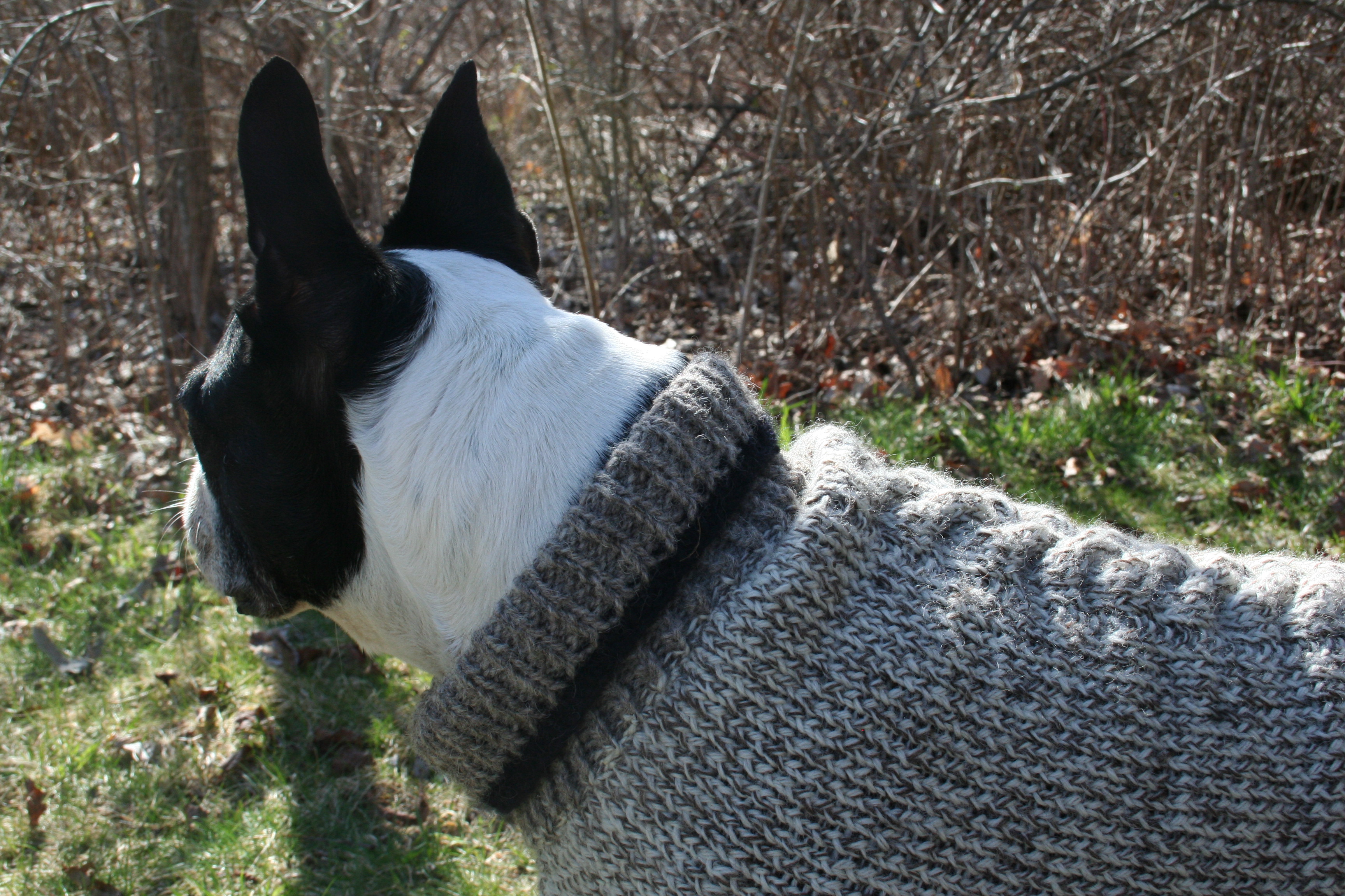 About Moo Dog Knits