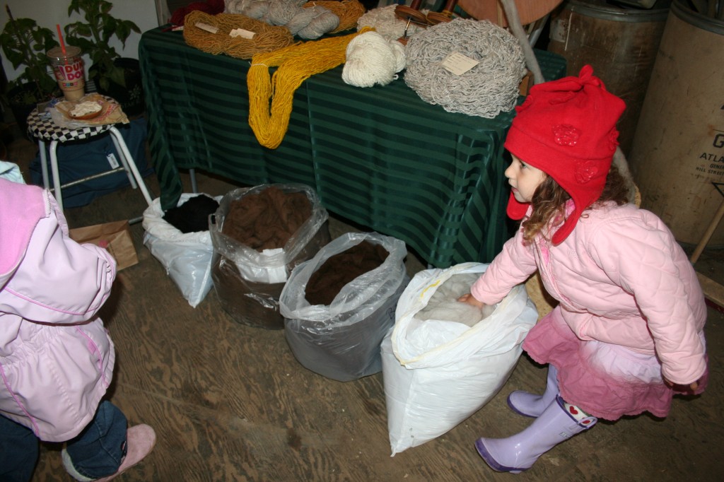 We love living in the Northeast USA - where knitting is useful and keeps us all warm and happy. This was at a spring sheep shearing event where a young girl was trying out the fiber by feel. It was raw and cold, but inside the barn, it was warm and the coffee was hot and strong.