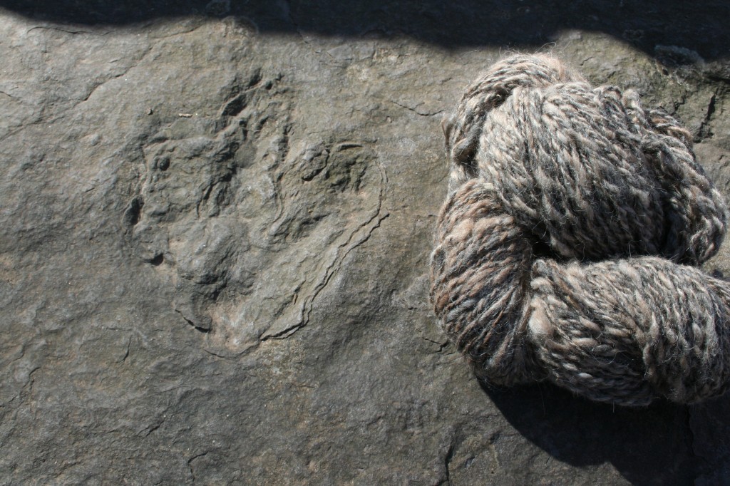 Yes, that's a dinosaur footprint - and a handspun skein of llama yarn. Yes, that's a dinosaur footprint - and a handspun skein of llama yarn.
