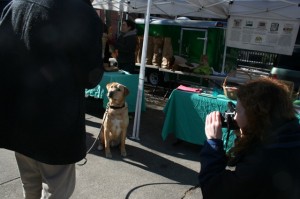 Some markets are quite dog friendly and photographers love 'em too - 