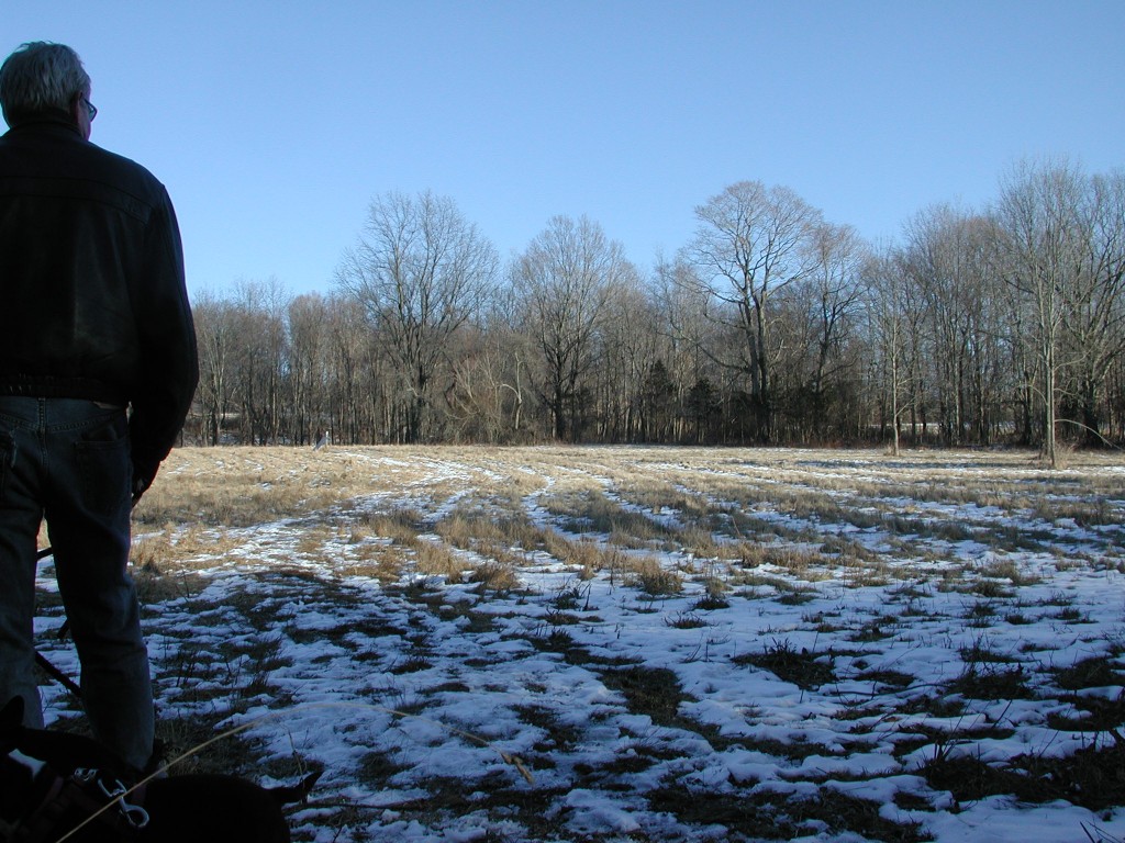 Some species need large spaces such as this hay meadow, part of lands owned by the city of Middletown. The parcel adjoins state forest land. Some species need large spaces such as this hay meadow, part of lands owned by the city of Middletown. The parcel adjoins state forest land.