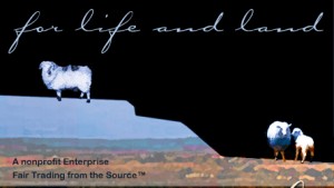Black Mesa Weavers For Life And Land Black Mesa Weavers For Life And Land