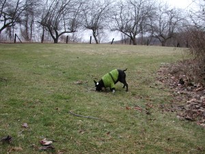 In lime and black, easy to find in a hayfield. Designers spark knitters by their passion and innovation, use of color, texture or leading the way.