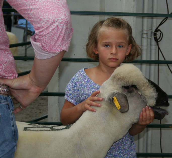 A portrait at the show - this young lady handled her sheep at the sale. A portrait at the show - this young lady deftly handled her sheep at the sale.