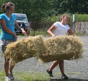 Hay!