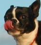 Abby
