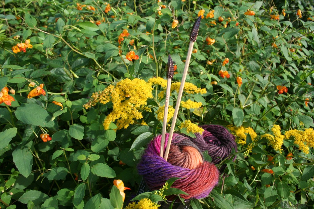 Single point hexagonal needles crafted from birch with feather toppers, made by Indian Lake Artisans of Michigan. Shown here in a 10-inch size, size 6, all needles can be created from cherry, walnut or birch in either 10-inch or 14-inch length. The color-shift patterned yarn is 'Poems' from Universal Yarn, 100 percent wool - as beautiful as the changing hues of unfolding blooms, which inspired this photograph.