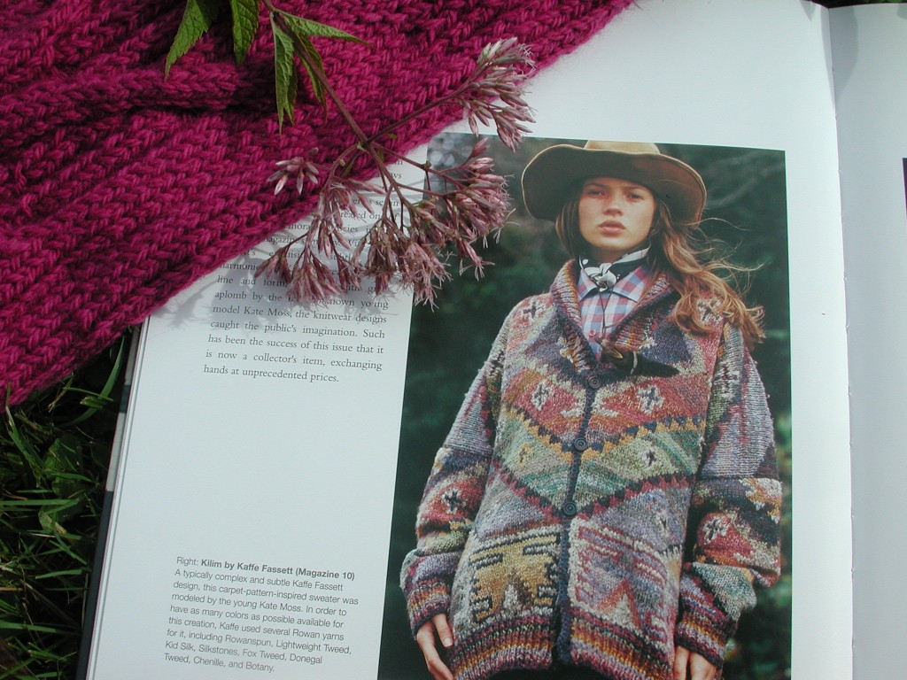 Harvesting color, with inspiration from Rowan Magazine 10 - included in the book - the glorious Kaffe Fassett plays with color, yarn and design.