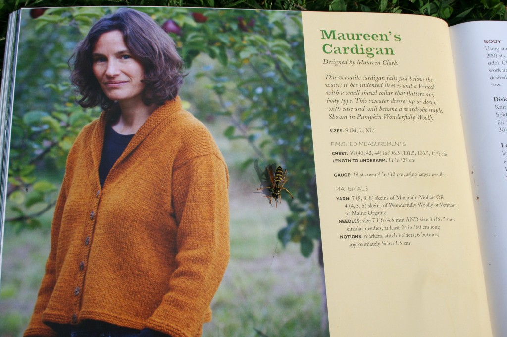 Maureen's sweater from '99 Yarns And Counting: More Designs from The Green Mountain Spinnery.
