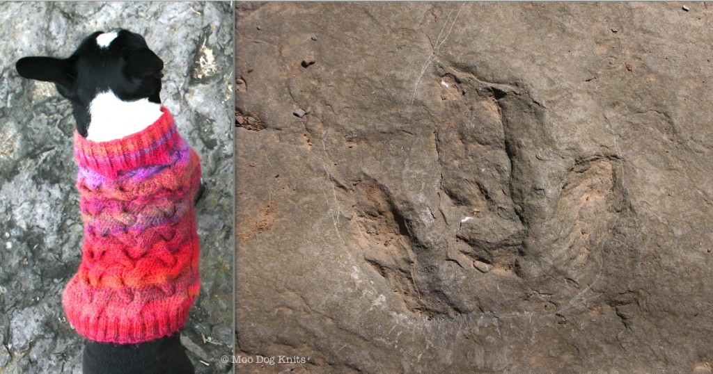 Tracking Patterns & Deep Time Journeys: Custom Cable Knits Moo Dog Knits